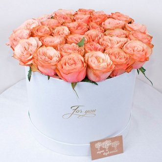 27 пионовидных роз в коробке