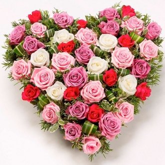 Сердце из 41 розы Сердце из 41 розы