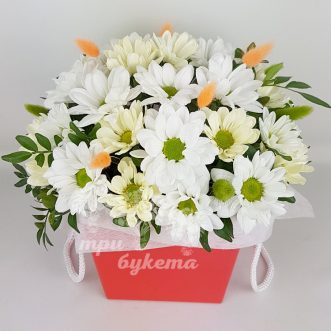Композиция из 9 кустовых хризантем Композиция из 9 кустовых хризантем