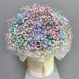 17 разноцветных гипсофил в коробке