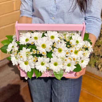 Ромашки и хризантемы в ящике Ромашки и хризантемы в ящике