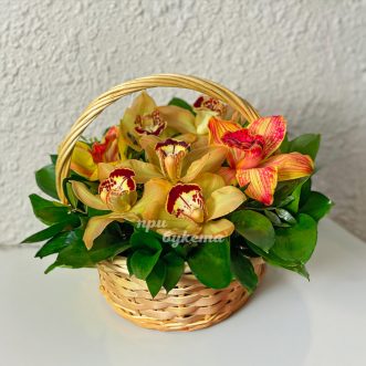 Корзина желтых орхидей с рускусом Корзина желтых орхидей с рускусом